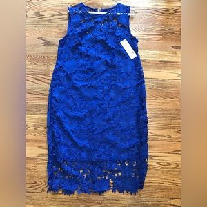 Calvin Klein Royal Blue Straight Lace Dress Size 16